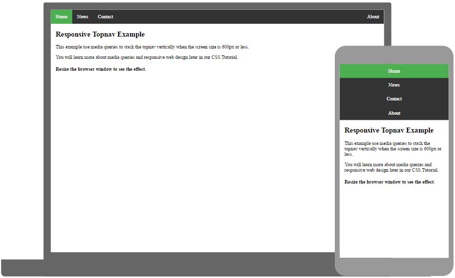 Responsive Navbar